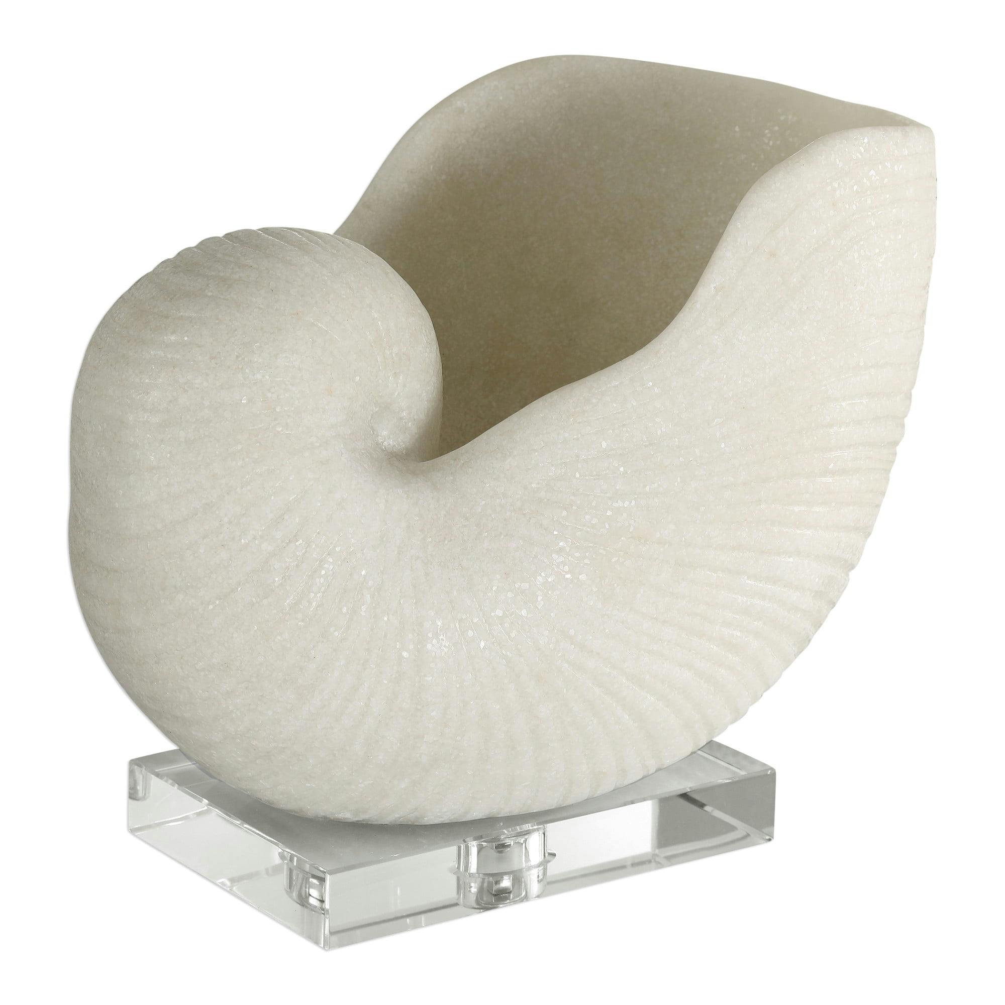 Off-White Granular Nautilus Shell on Crystal Base Sculpture