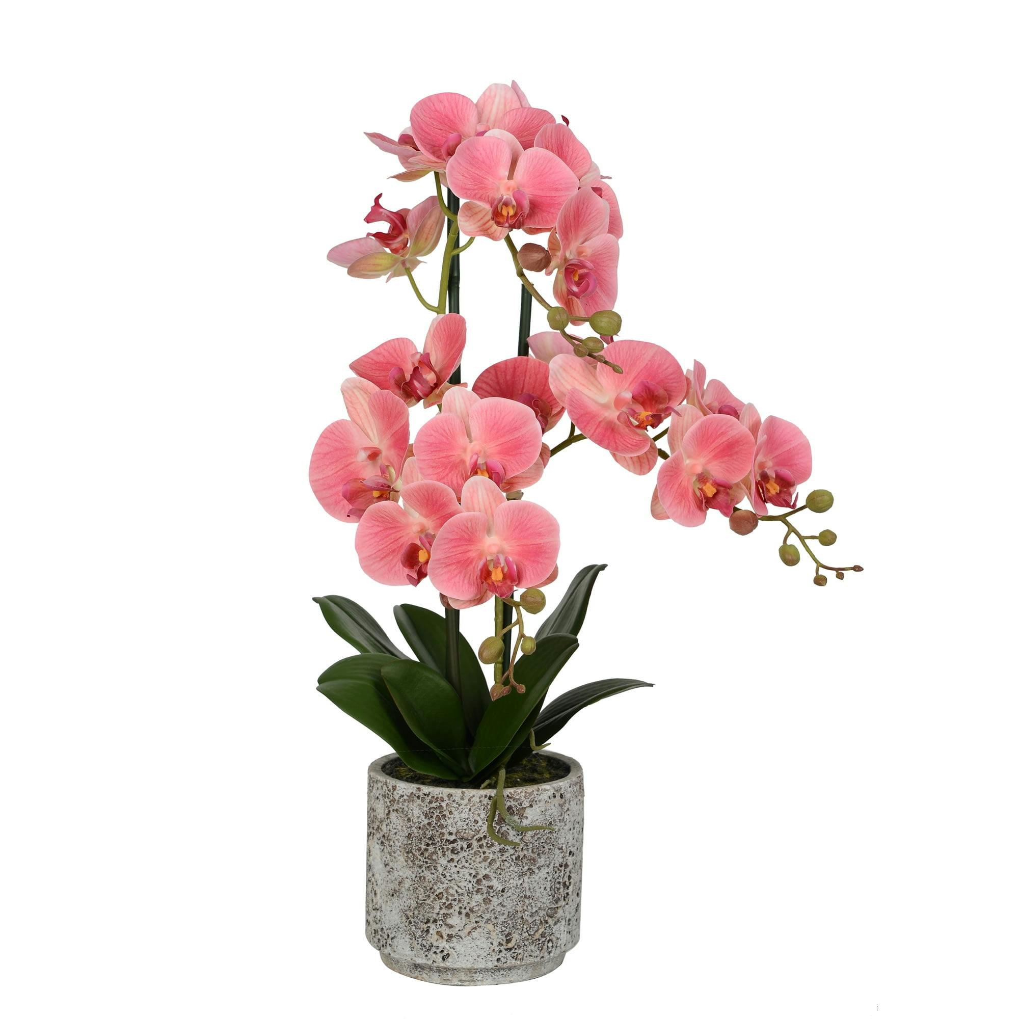 Elegant Pink Orchid 30" Artificial Tabletop Arrangement in Cement Pot