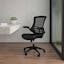 ErgoFlex 360 Black Mesh & LeatherSoft Adjustable Office Task Chair