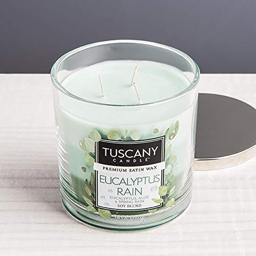 Eucalyptus Rain Scented Soy Jar Candle, 14 oz - Blue