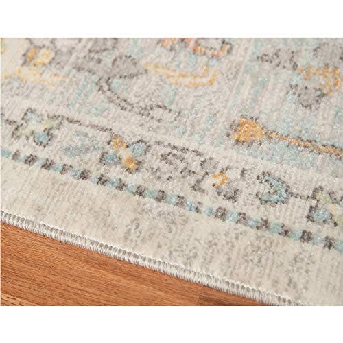 Boho Chic Transitional Indoor/Outdoor Area Rug 8'9" x 11'9"