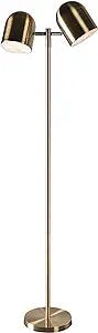 Alden 57.125" Antique Brass Modern Floor Lamp