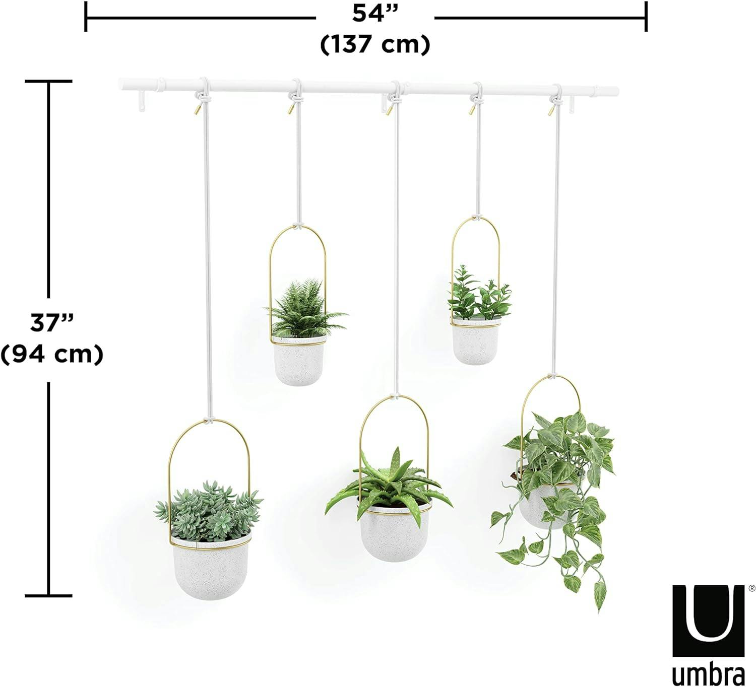Triflora Adjustable White/Brass Indoor/Outdoor Hanging Planter