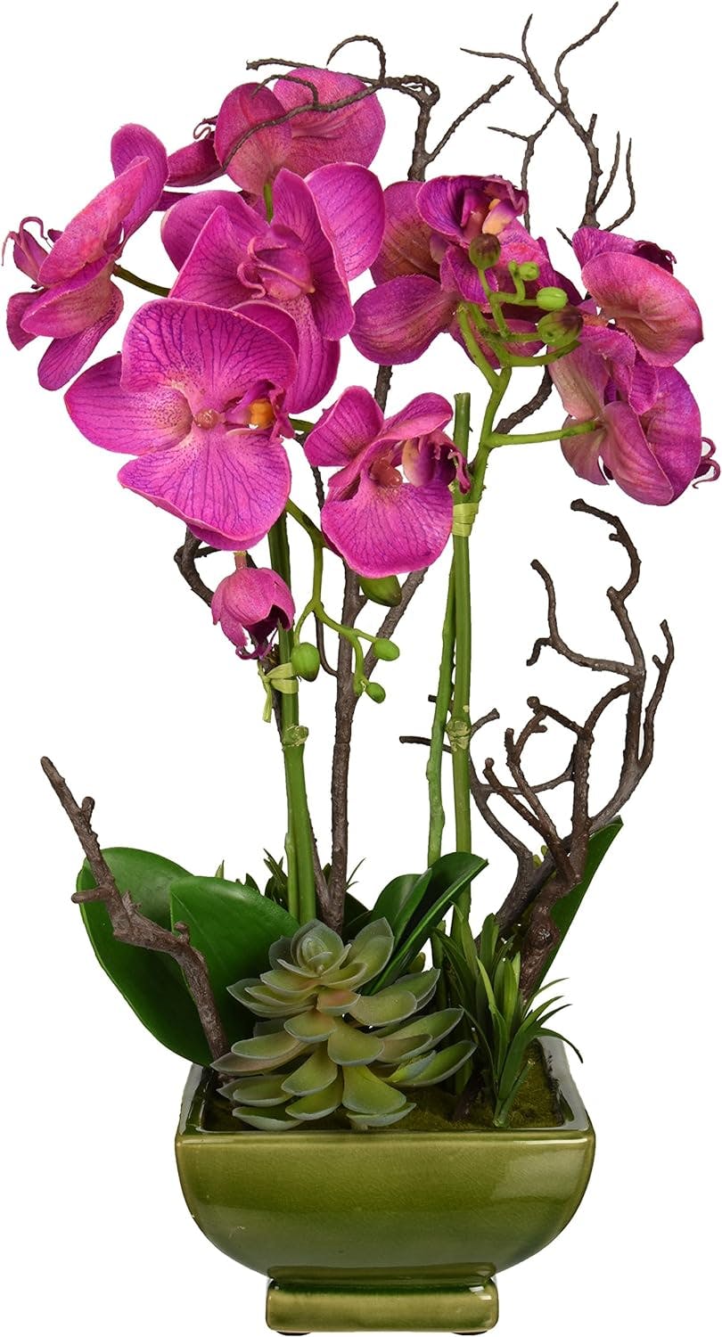 Orchid Elegance & Green Succulent 20" Outdoor Tabletop Arrangement