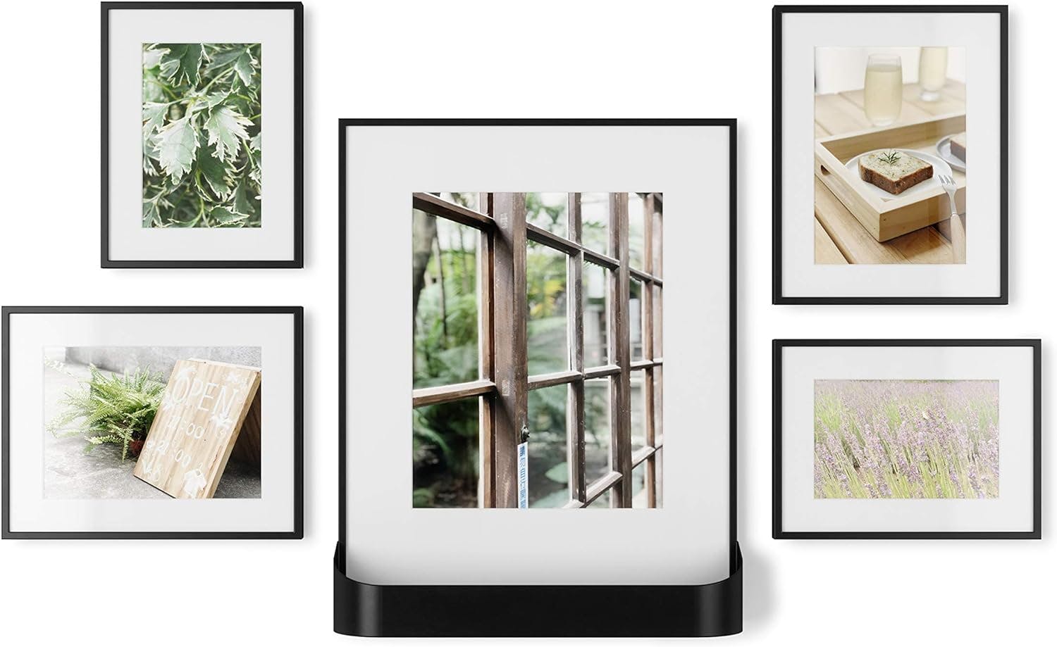 Classic Black Gallery Wall Frame Set with Plant Basket, 5 Pieces
