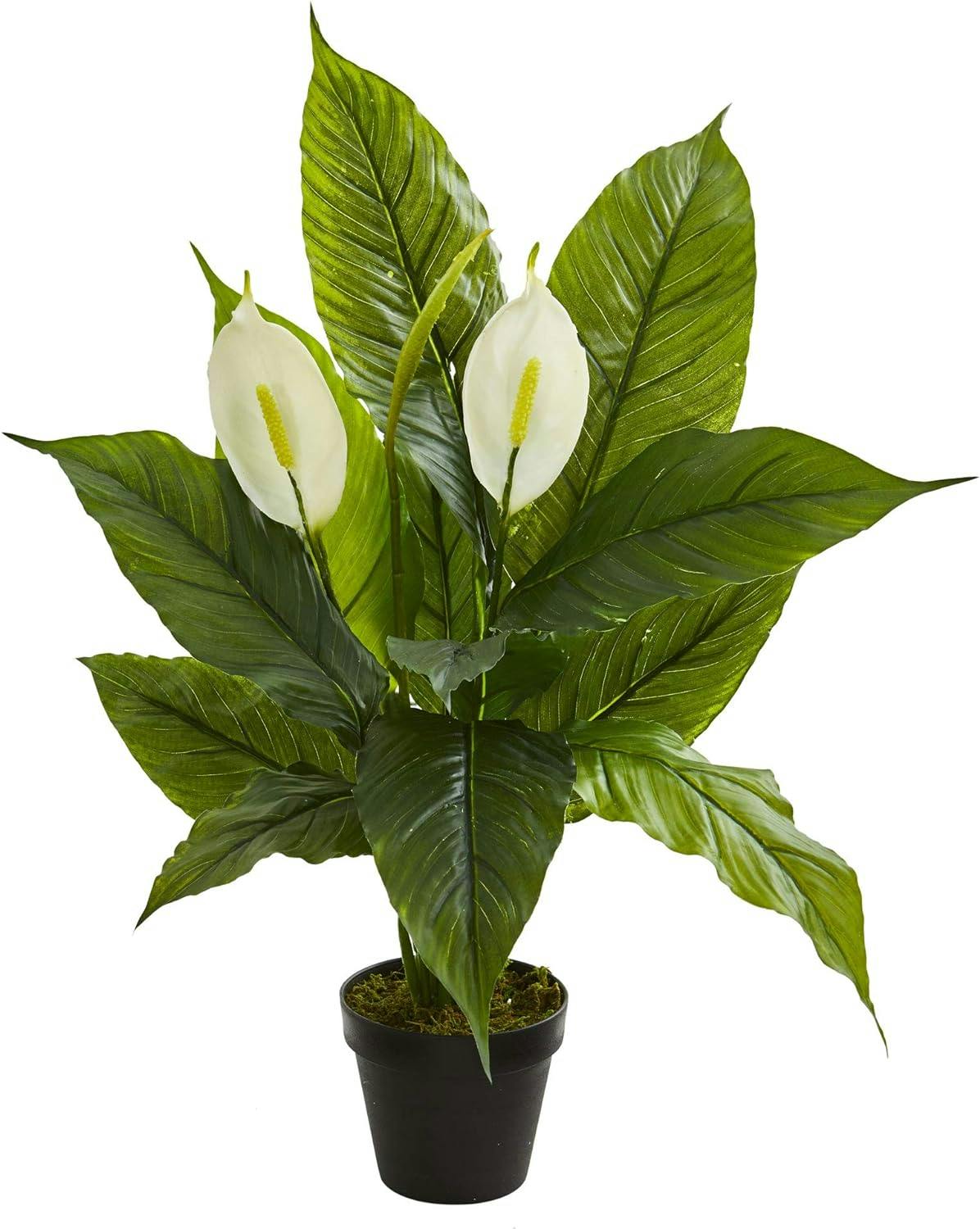 Elegant Greenery 30" Spathiphyllum Potted Artificial Plant