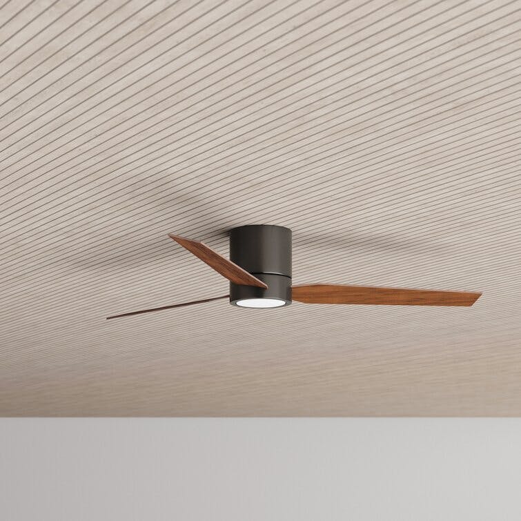 Goren 56'' Ceiling Fan with LED Lights