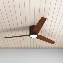 Goren 56'' Ceiling Fan with LED Lights