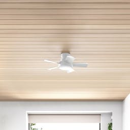 Vox Ceiling Fan with LED Lights