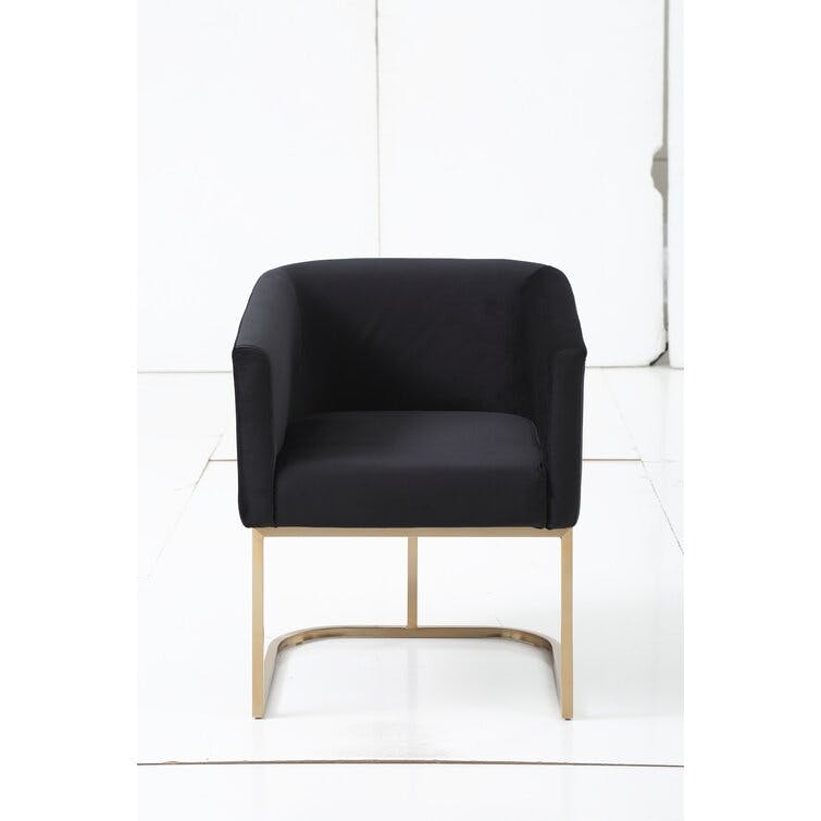 Echo Mcgowen Upholstered Arm Chair