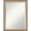 Elegant Brushed Bronze Rectangular Vanity Wall Mirror 21" x 27"