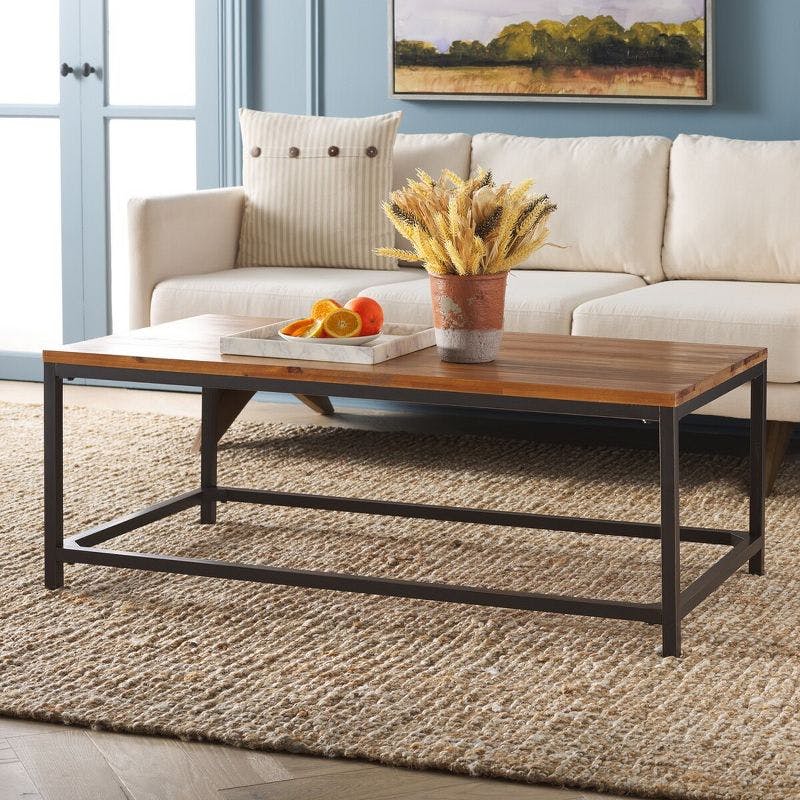 Transitional Alec 48" Rectangular Wood and Metal Coffee Table in Black/Brown