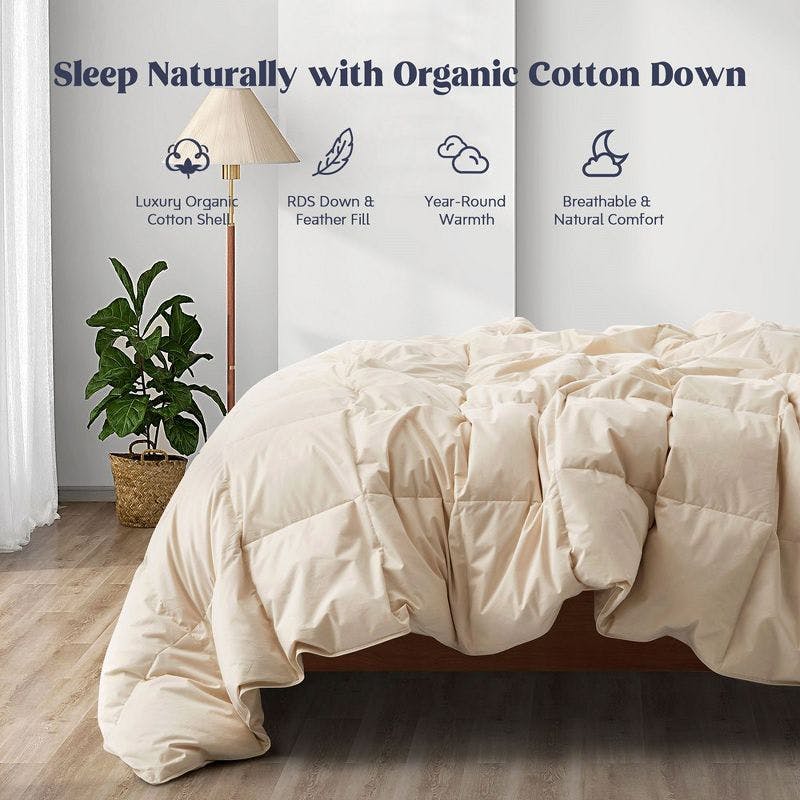EcoDream Full/Queen Off-White Organic Cotton Down Comforter