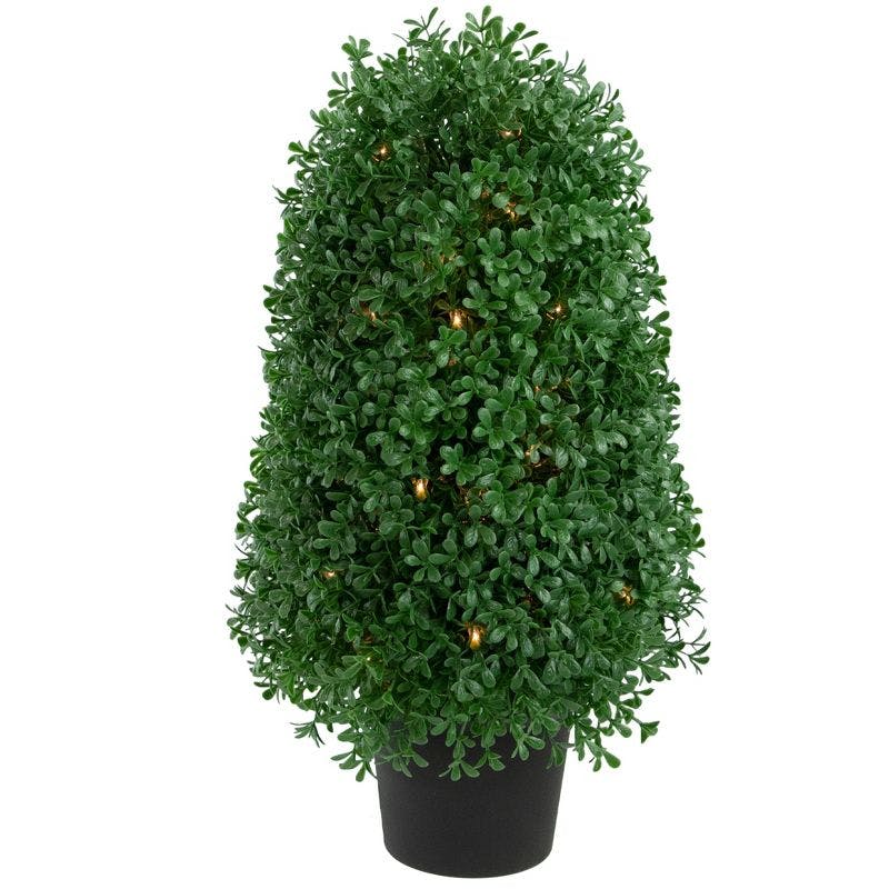 Luminous 19" White Lighted Boxwood Topiary in Pot - Outdoor Ready