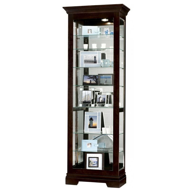 Saloman Traditional Lighted Curio Cabinet in Rich Brown