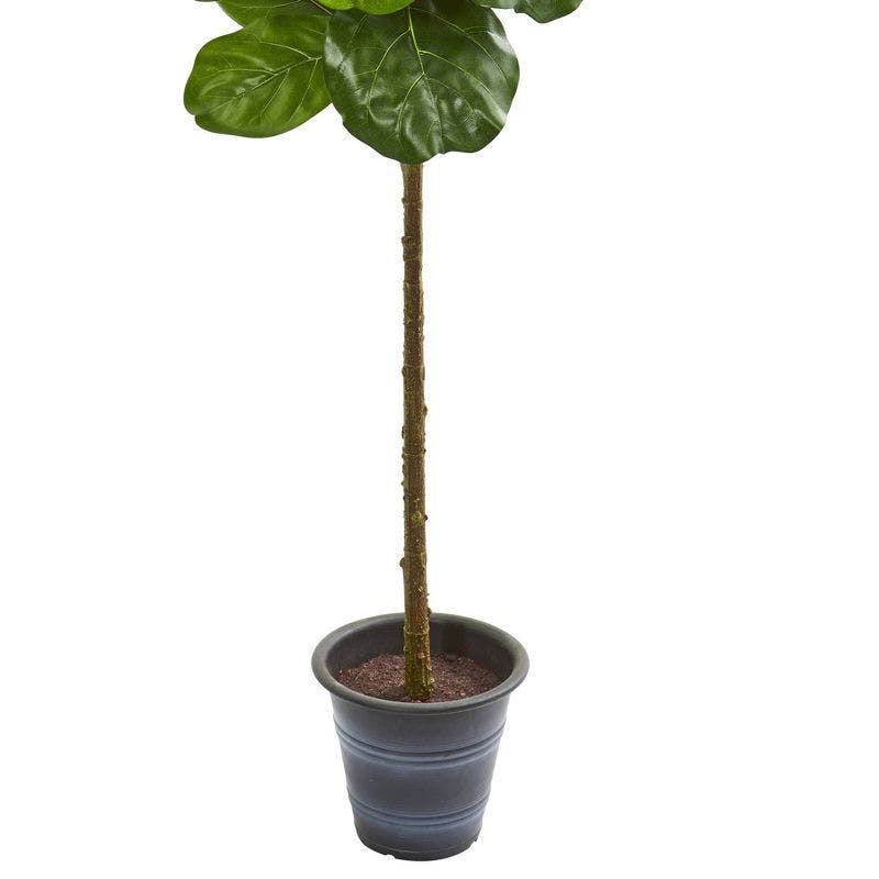 Elegant Silk Fiddle Leaf Fig Tree in Decorative Planter, 64.5" Tall