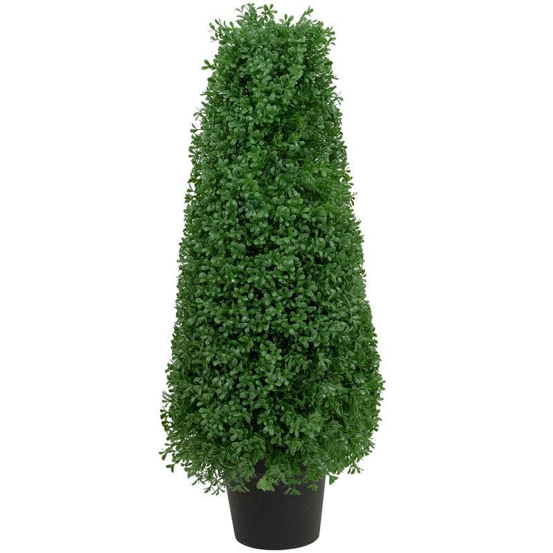 Elegant 31" Green Boxwood Cone Topiary in Black Pot, Outdoor