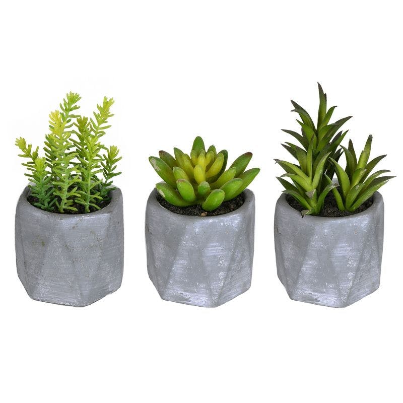Decorative Trio of Potted Artificial Succulents in Cement Pots