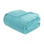 Aqua Twin XL Microlight Plush Reversible Comfort Blanket