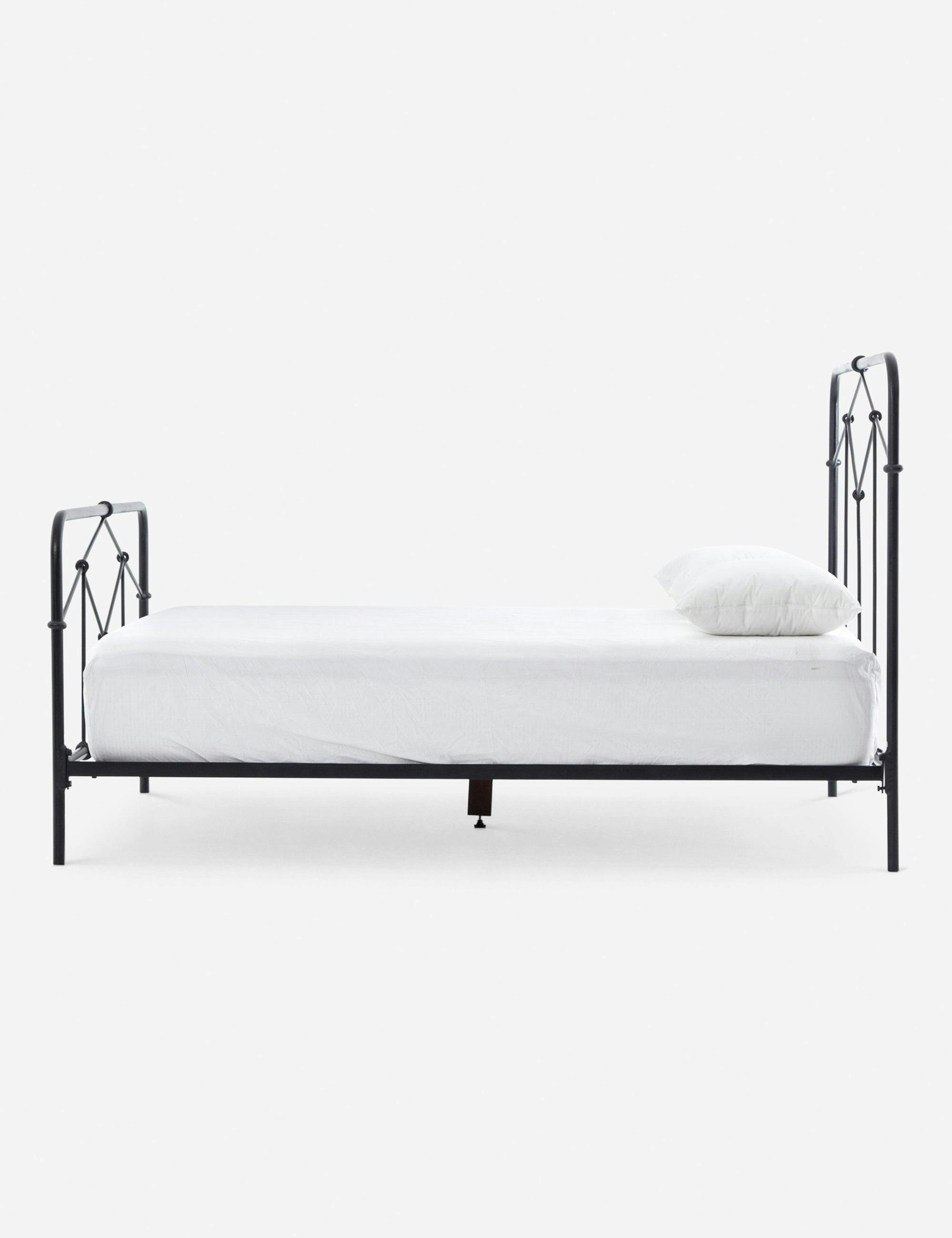 Maddie Vintage-Inspired Iron Tubing Queen Bed in Black