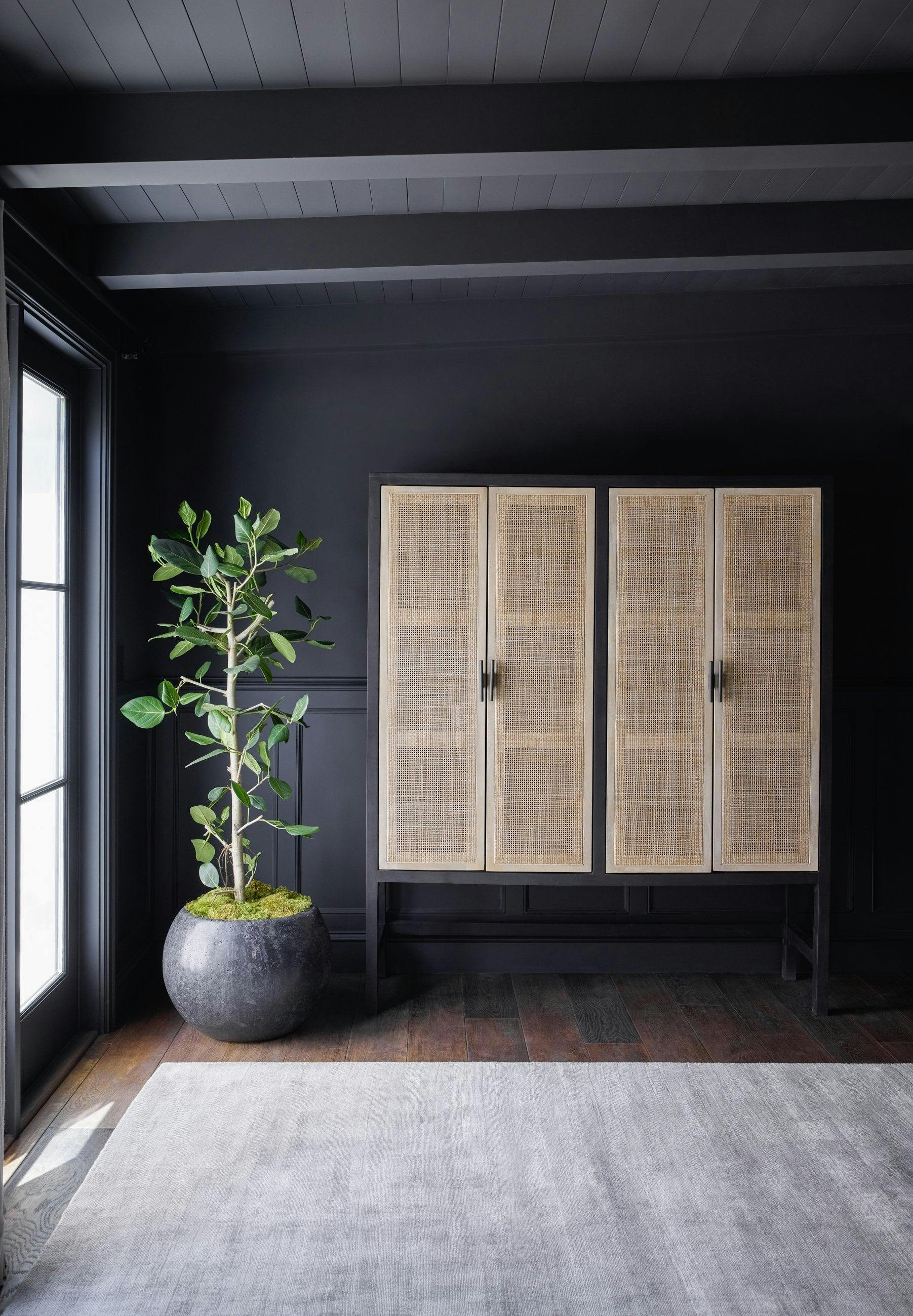 Contemporary Black Wash Mango and Natural Cane 59" Cabinet