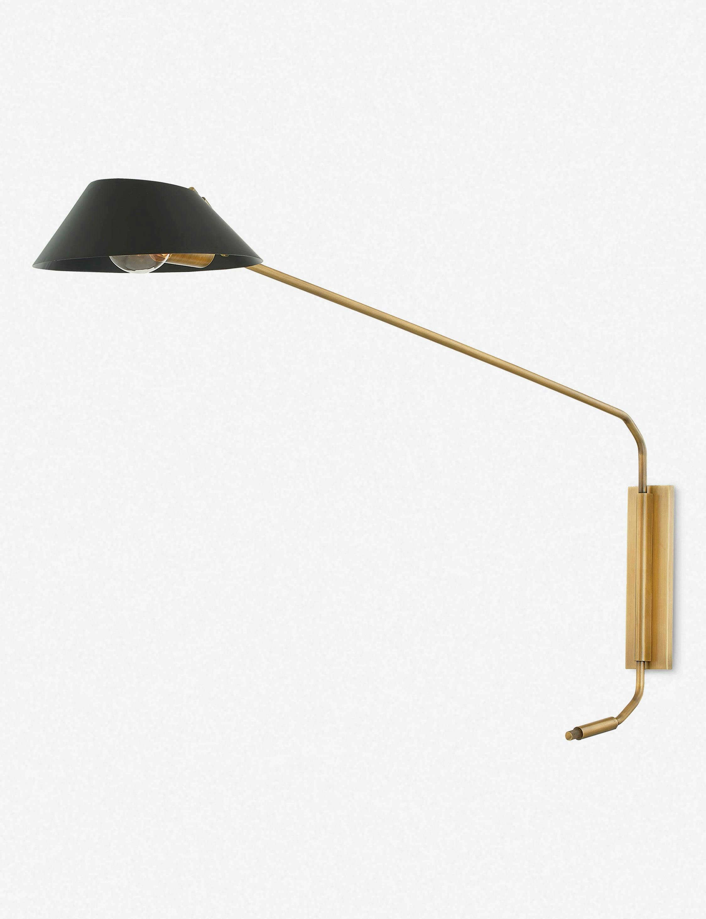 Riaz 28" Black and Brass Plug-In Wall Sconce