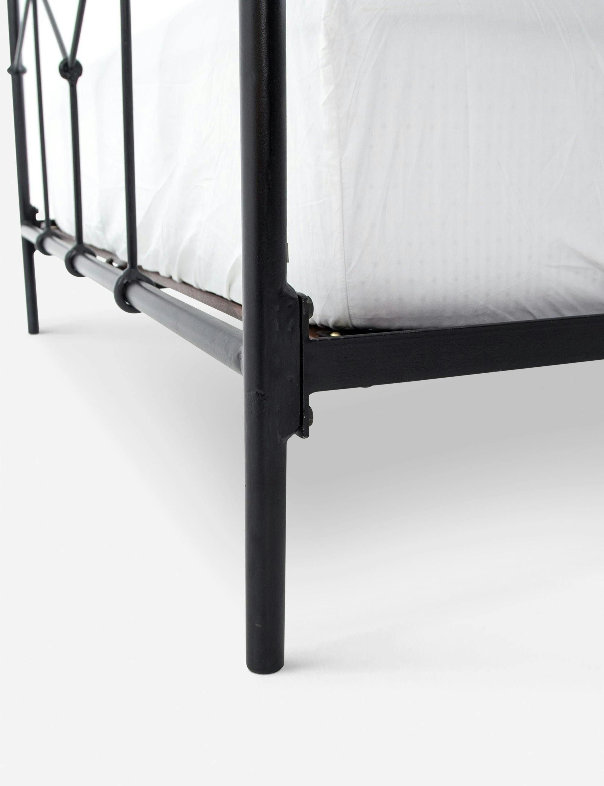 Maddie Vintage-Inspired Iron Tubing Queen Bed in Black